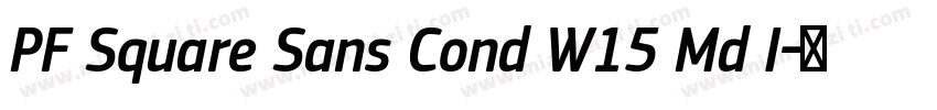 PF Square Sans Cond W15 Md I字体转换